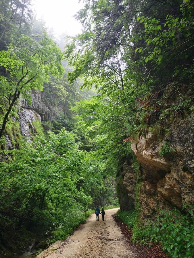 Mountain Lodge Râșnov Zewnętrze zdjęcie
