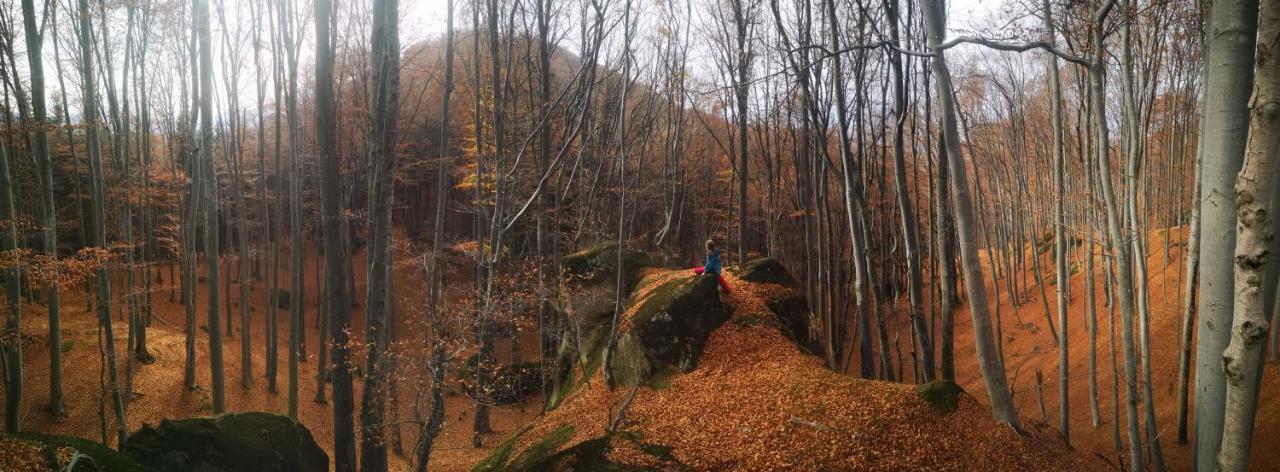 Mountain Lodge Râșnov Zewnętrze zdjęcie