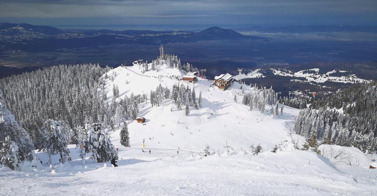 Mountain Lodge Râșnov Zewnętrze zdjęcie