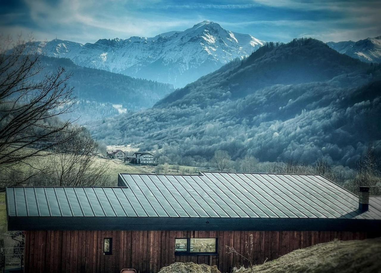 Mountain Lodge Râșnov Zewnętrze zdjęcie